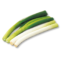 白ねぎ
１８０ｇ（カット）