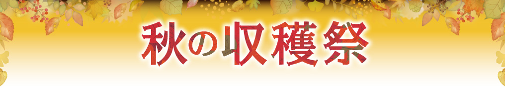 今週のテーマ