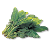 ほうれん草
１５０ｇ
