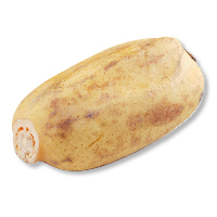 れんこん
２５０ｇ