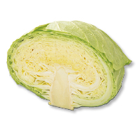 キャベツ
１／２玉（カット）