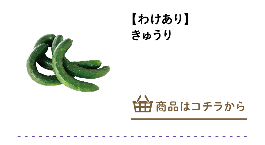 【わけあり】きゅうり