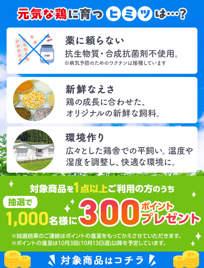 元気鶏