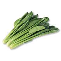 小松菜
１５０ｇ