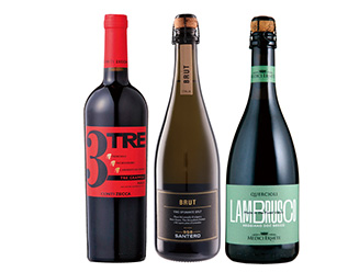 全て金賞獲得クリスマスを愉しむイタリアワイン３本セット
