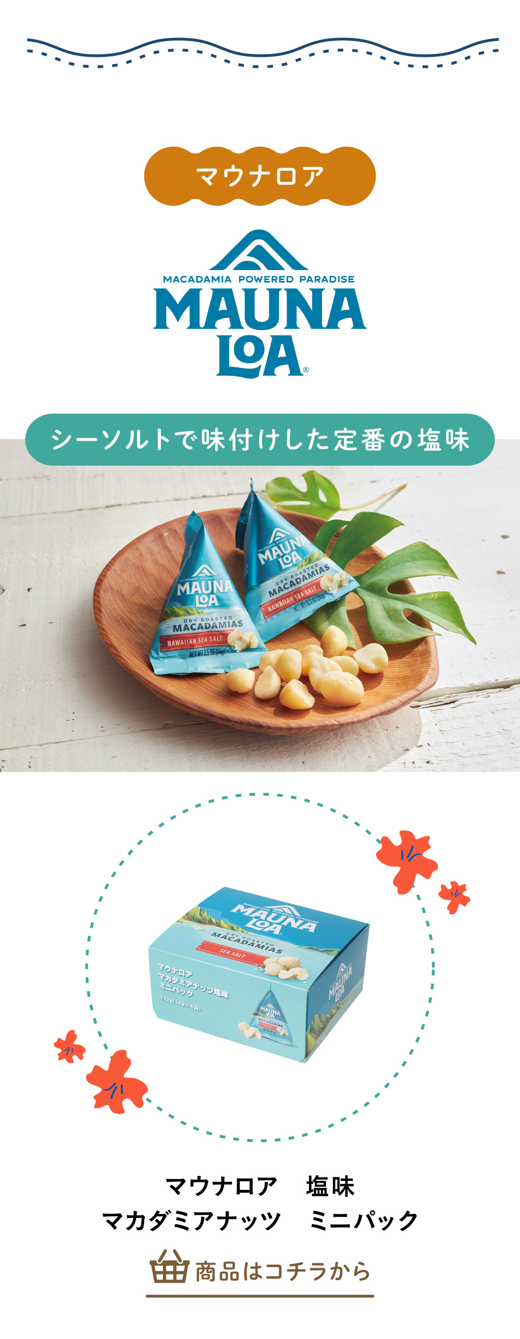 マウナロア　塩味　マカダミアナッツ　ミニパック