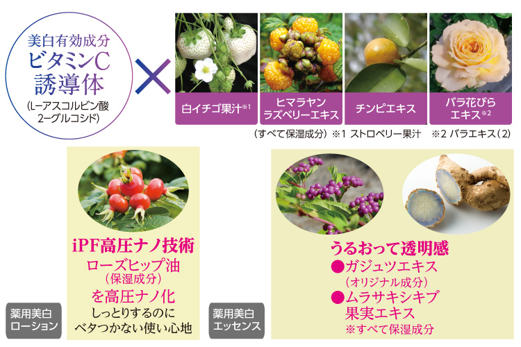 イメージ画像