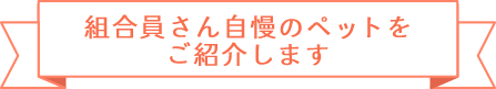 組合員さん自慢のペットをご紹介します
