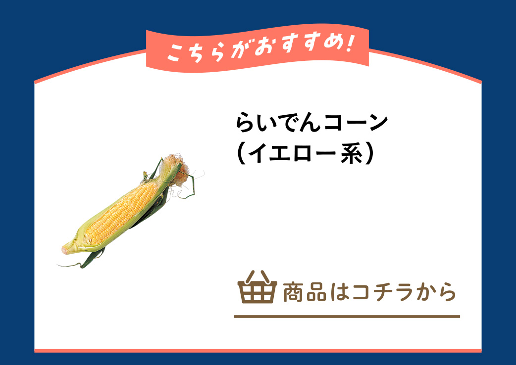 らいでんコーン（イエロー系）