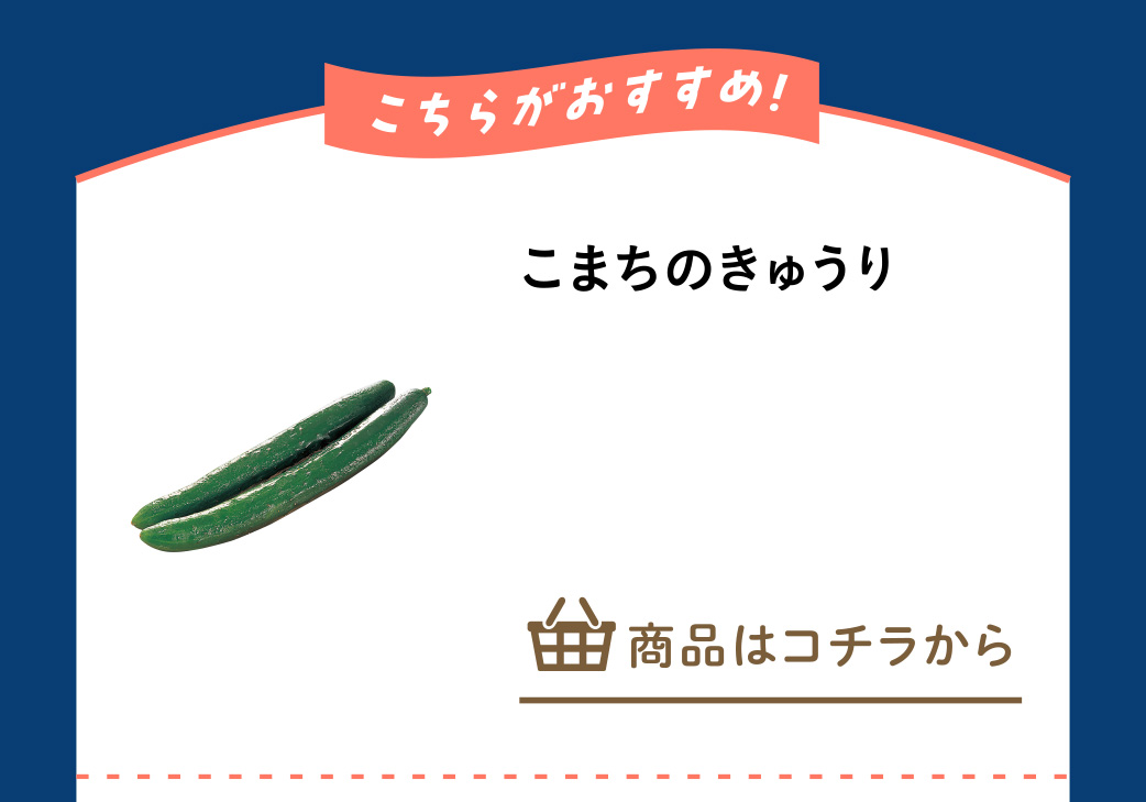 こまちのきゅうり