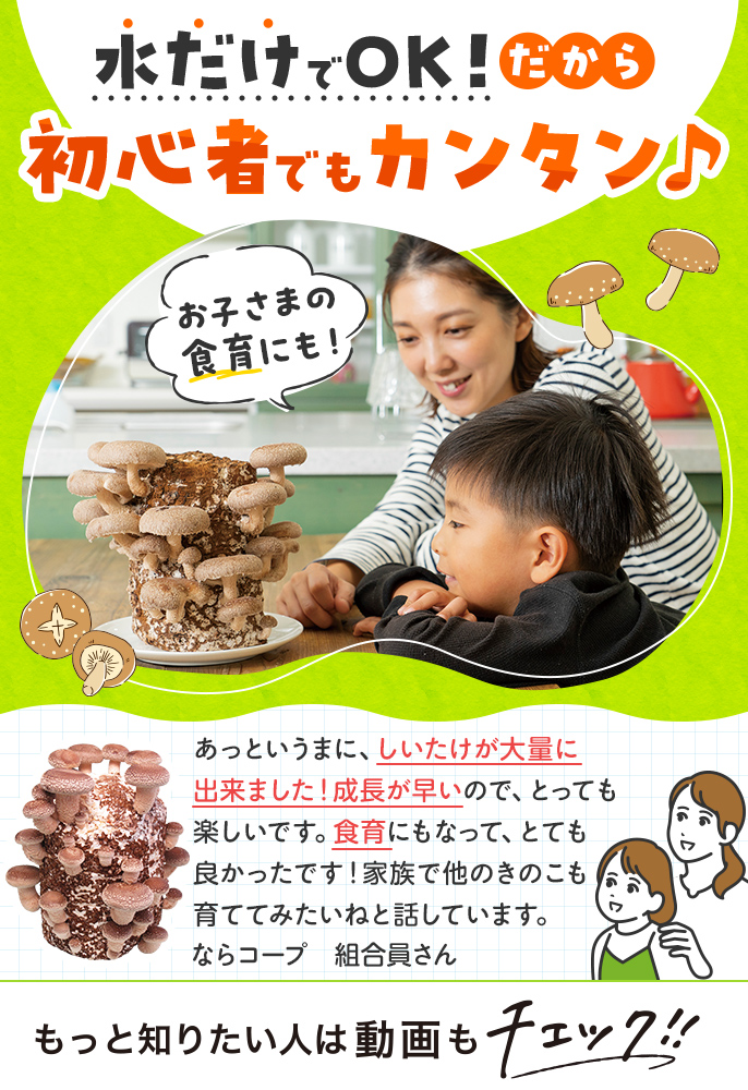 しいたけ農園