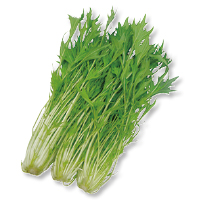 水菜
１５０ｇ