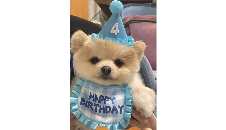 写真：組合員さん自慢のペット