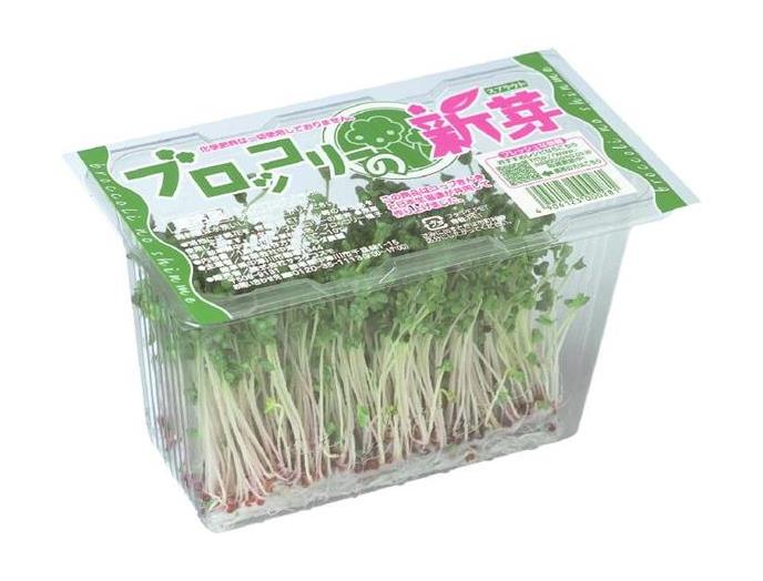 スプラウト（ブロッコリー新芽）