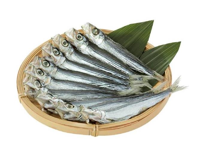 京都生活協同組合 10月4回（スマートフォン） 商品詳細