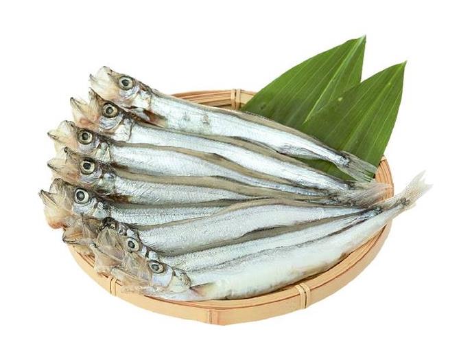 もやしししゃも様確認ページ かるい
