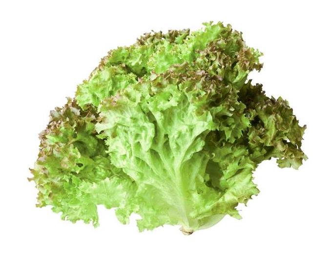 サニーレタス（植物工場野菜）